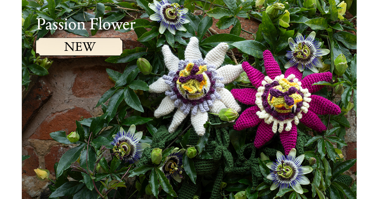 passion flower kew new kit garden summer blossom bloom crochet